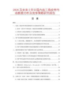 2026及未來5年中國內(nèi)齒三角皮帶市場數(shù)據(jù)分析及競爭策略研究報告