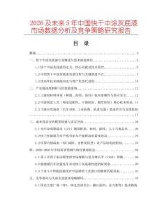 2026及未來5年中國快干中涂灰底漆市場數(shù)據(jù)分析及競爭策略研究報告