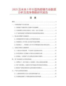 2025及未來5年中國熱熔鏡市場數(shù)據(jù)分析及競爭策略研究報告