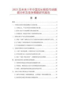 2025及未來5年中國加長割炬市場數(shù)據(jù)分析及競爭策略研究報(bào)告
