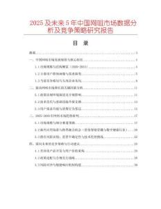 2025及未來5年中國網咀市場數據分析及競爭策略研究報告