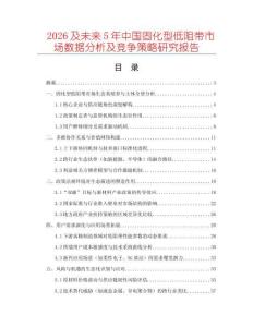 2026及未來5年中國(guó)固化型低阻帶市場(chǎng)數(shù)據(jù)分析及競(jìng)爭(zhēng)策略研究報(bào)告