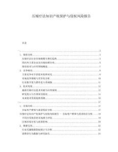 壓縮療法知識產(chǎn)權(quán)保護(hù)與侵權(quán)風(fēng)險(xiǎn)報(bào)告