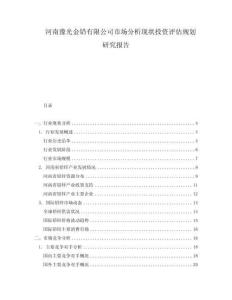 河南豫光金鉛有限公司市場分析現狀投資評估規劃研究報告