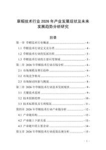 草帽技術(shù)行業(yè)2026年產(chǎn)業(yè)發(fā)展現(xiàn)狀及未來發(fā)展趨勢(shì)分析研究