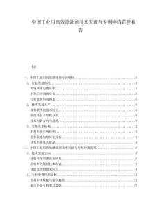 中國工業(yè)用高效漂洗劑技術(shù)突破與專利申請趨勢報告