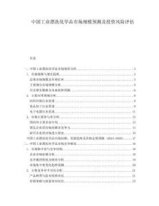 中國(guó)工業(yè)漂洗化學(xué)品市場(chǎng)規(guī)模預(yù)測(cè)及投資風(fēng)險(xiǎn)評(píng)估