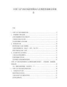 中國工業(yè)氣體市場供需格局與長期投資戰(zhàn)略分析報告