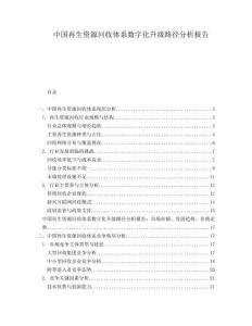 中國再生資源回收體系數字化升級路徑分析報告