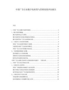 中國廣告行業(yè)數(shù)字化轉(zhuǎn)型與營銷效果評估報告