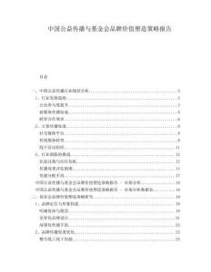 中國公益?zhèn)鞑ヅc基金會品牌價值塑造策略報告