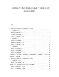 中國智能汽車胎壓監(jiān)測系統(tǒng)制造業(yè)產(chǎn)業(yè)現(xiàn)狀技術發(fā)展市場供需報告