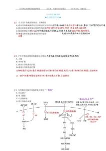 26考研【生理】階段考試 解析-月落星沉