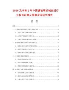 2026及未來5年中國搪玻璃機械密封行業投資前景及策略咨詢研究報告