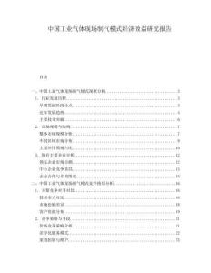 中國工業氣體現場制氣模式經濟效益研究報告