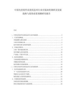 中國光伏組件高效化技術(shù)行業(yè)市場深度調(diào)研及發(fā)展趨勢與投資前景預(yù)測研究報告