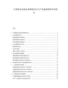 中國(guó)固態(tài)電池技術(shù)路線對(duì)比與產(chǎn)業(yè)鏈成熟度評(píng)估報(bào)告