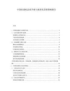 中國掛燙機品質升級與場景化營銷策略報告