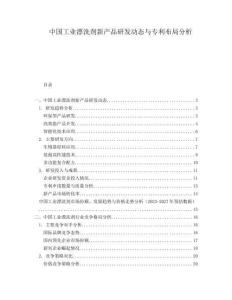 中國工業(yè)漂洗劑新產(chǎn)品研發(fā)動(dòng)態(tài)與專利布局分析