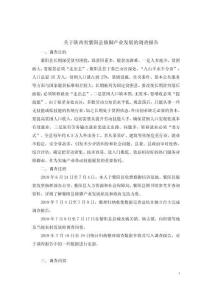 關于陜西省紫陽縣修腳產業發展的調查報告