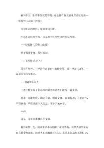 材料作文：生活不僅僅是等待，而是擁有魚龍轉(zhuǎn)化的命運奇跡——張銳鋒《天梯上漫游》