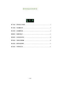 原代碼安全性研究