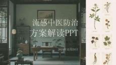 流感中醫(yī)防治方案解讀PPT