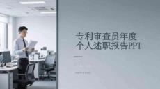 專利審查員年度個人述職報告PPT