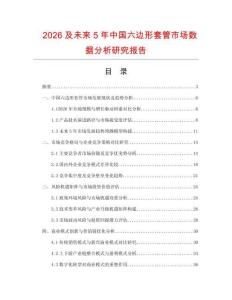 2026及未來5年中國六邊形套管市場數(shù)據(jù)分析研究報告