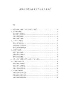 中國電子特氣純化工藝與本土化生產