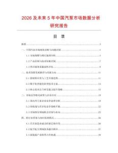 2026及未來5年中國汽泵市場數據分析研究報告