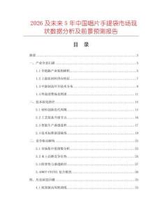 2026及未來5年中國唱片手提袋市場現狀數據分析及前景預測報告