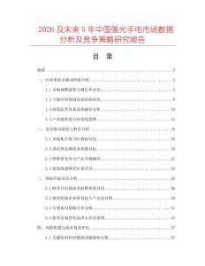 2026及未來5年中國強光手電市場數據分析及競爭策略研究報告