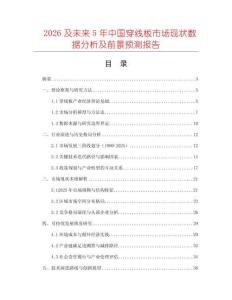 2026及未來5年中國穿線板市場現狀數據分析及前景預測報告