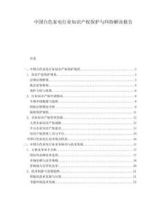 中國白色家電行業(yè)知識產(chǎn)權(quán)保護(hù)與糾紛解決報告