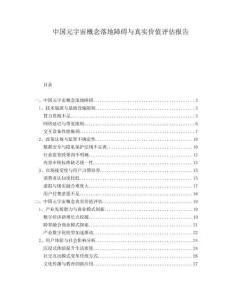 中國元宇宙概念落地障礙與真實價值評估報告