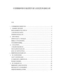 中國精釀啤酒市場消費升級與渠道變革戰略分析