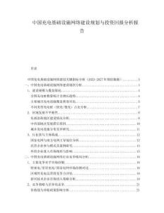 中國充電基礎設施網絡建設規劃與投資回報分析報告