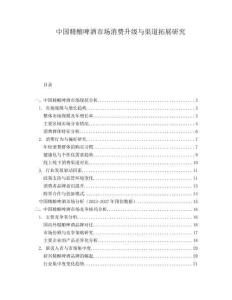 中國精釀啤酒市場消費升級與渠道拓展研究