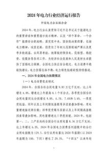 2024年電力行業經濟運行報告