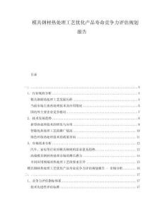 模具鋼材熱處理工藝優(yōu)化產(chǎn)品壽命競(jìng)爭(zhēng)力評(píng)估規(guī)劃報(bào)告