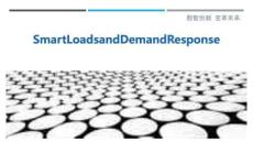SmartLoadsandDemandResponse