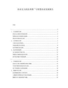 農業無人機技術推廣與智慧農業發展報告
