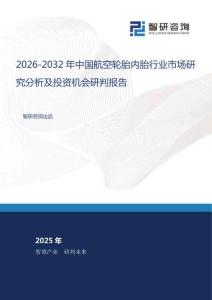 2026-2032年中國航空輪胎內胎行業(yè)市場研究分析及投資機會研判報告