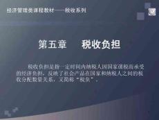 人民大2025稅收學(xué)課件（5）第五章
