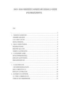 2025-2030風(fēng)險投資行業(yè)現(xiàn)狀分析及創(chuàng)業(yè)公司投資評估規(guī)劃發(fā)展研究
