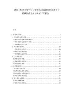 2025-2030多變字符行業(yè)市場供需調研創(chuàng)意評估營銷投資前景規(guī)劃分析詳盡報告