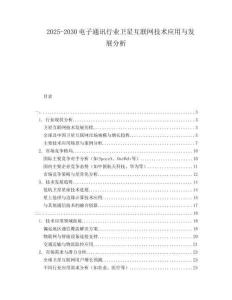 2025-2030電子通訊行業(yè)衛(wèi)星互聯(lián)網(wǎng)技術(shù)應(yīng)用與發(fā)展分析