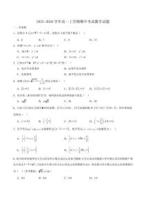 江蘇省連云港市新浦中學等9校聯(lián)考2025-2026學年高一上學期期中考試 數(shù)學含解析
