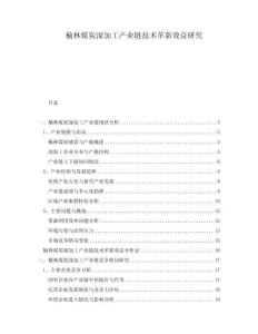 榆林煤炭深加工產(chǎn)業(yè)鏈技術(shù)革新效益研究